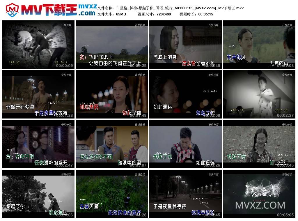 白里格_伍梅-想起了你_国语_流行_ME600616